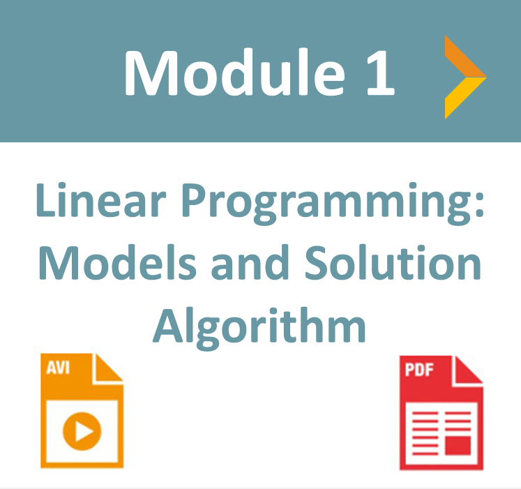 linear programming module optimizationcity